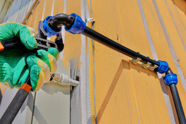 Best Local Plumber Services  in Primera, TX